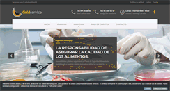 Desktop Screenshot of goldservice.es